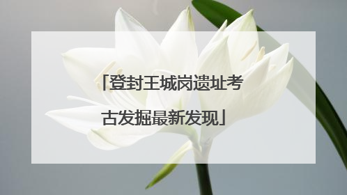 登封王城岗遗址考古发掘最新发现