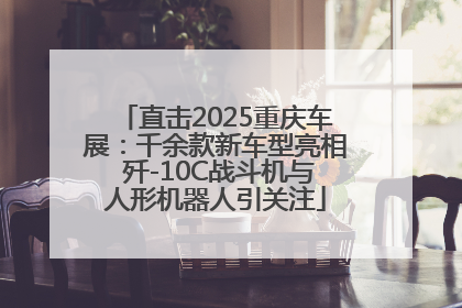 直击2025重庆车展：千余款新车型亮相 歼-10C战斗机与人形机器人引关注