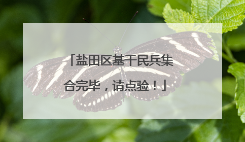 盐田区基干民兵集合完毕，请点验！