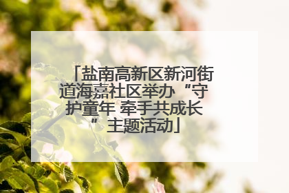 盐南高新区新河街道海嘉社区举办“守护童年 牵手共成长”主题活动