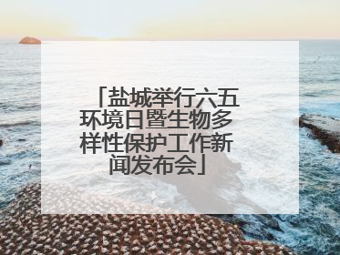 盐城举行六五环境日暨生物多样性保护工作新闻发布会