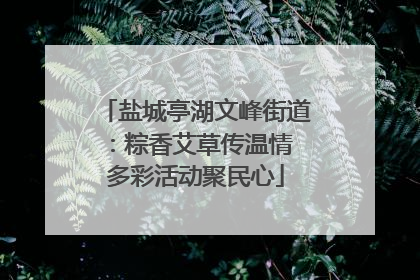 盐城亭湖文峰街道：粽香艾草传温情 多彩活动聚民心