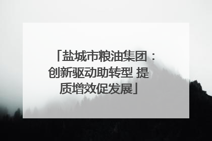 盐城市粮油集团：创新驱动助转型 提质增效促发展