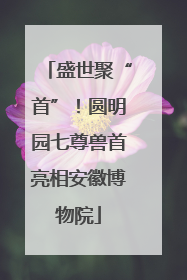 盛世聚“首”！圆明园七尊兽首亮相安徽博物院