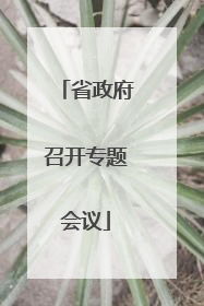 省政府召开专题会议