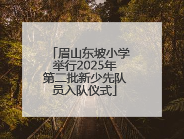 眉山东坡小学举行2025年第二批新少先队员入队仪式