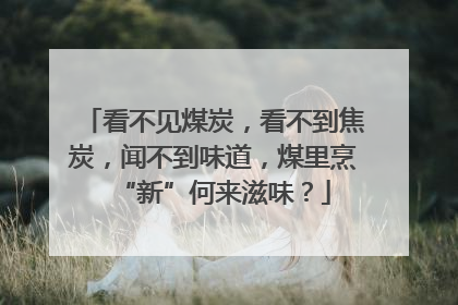 看不见煤炭，看不到焦炭，闻不到味道，煤里烹“新”何来滋味？