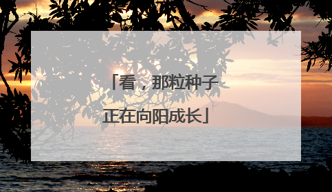 看，那粒种子正在向阳成长