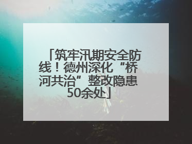 筑牢汛期安全防线！德州深化“桥河共治”整改隐患50余处