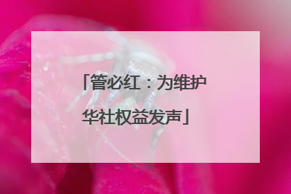 管必红：为维护华社权益发声