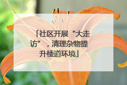 社区开展“大走访”，清理杂物提升楼道环境