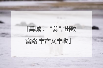 禹城：“蒜”出致富路 丰产又丰收