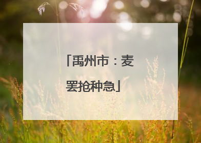 禹州市：麦罢抢种急