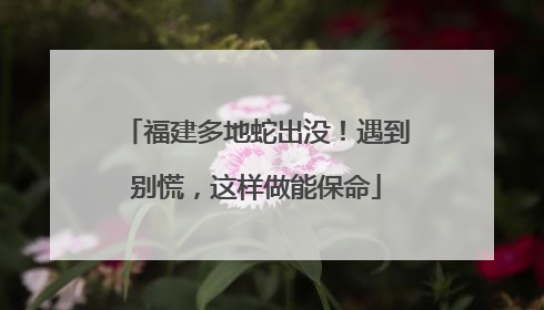 福建多地蛇出没！遇到别慌，这样做能保命