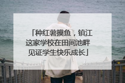 种红薯摸鱼，镇江这家学校在田间池畔见证学生快乐成长