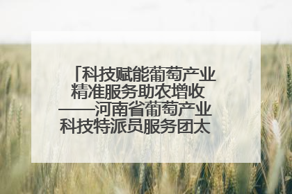 科技赋能葡萄产业 精准服务助农增收——河南省葡萄产业科技特派员服务团太康县科技服务纪实