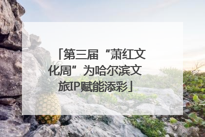 第三届“萧红文化周”为哈尔滨文旅IP赋能添彩