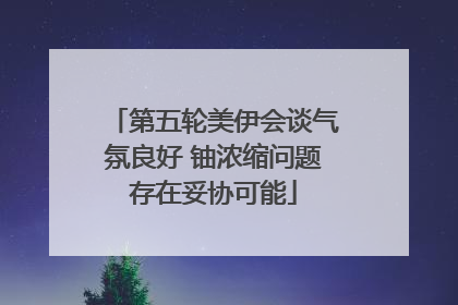 第五轮美伊会谈气氛良好 铀浓缩问题存在妥协可能