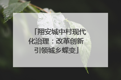 翔安城中村现代化治理：改革创新引领城乡蝶变