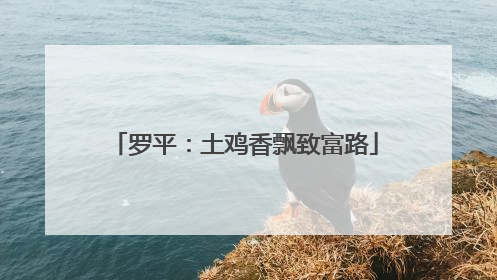 罗平：土鸡香飘致富路