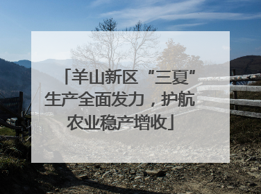 羊山新区“三夏”生产全面发力，护航农业稳产增收