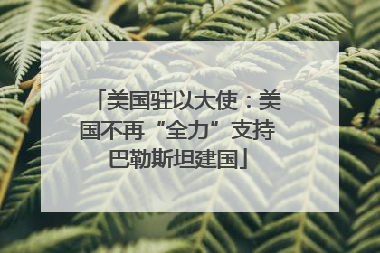 美国驻以大使：美国不再“全力”支持巴勒斯坦建国