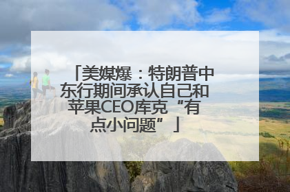 美媒爆：特朗普中东行期间承认自己和苹果CEO库克“有点小问题”