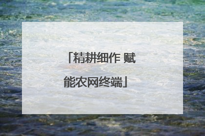 精耕细作 赋能农网终端