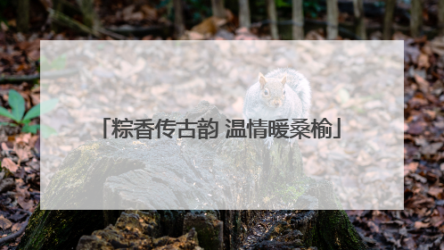 粽香传古韵 温情暖桑榆
