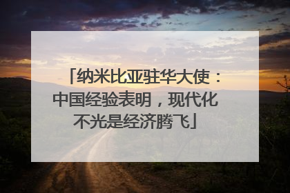 纳米比亚驻华大使：中国经验表明，现代化不光是经济腾飞