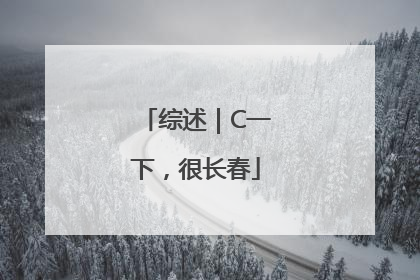 综述｜C一下，很长春