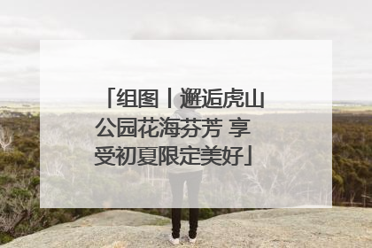 组图丨邂逅虎山公园花海芬芳 享受初夏限定美好