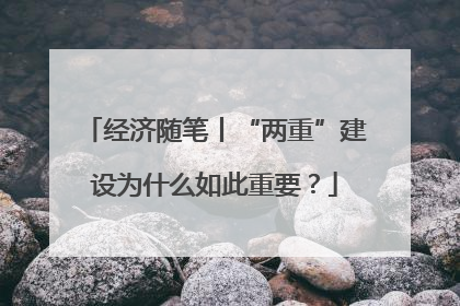 经济随笔丨“两重”建设为什么如此重要？
