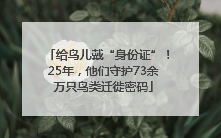 给鸟儿戴“身份证”！25年，他们守护73余万只鸟类迁徙密码