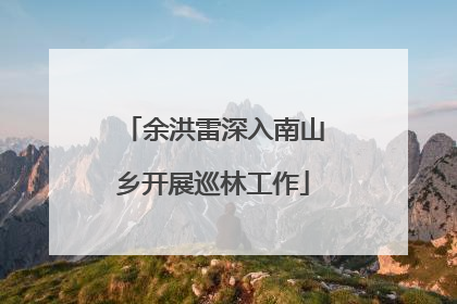 余洪雷深入南山乡开展巡林工作