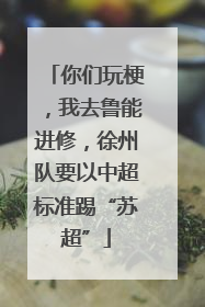 你们玩梗，我去鲁能进修，徐州队要以中超标准踢“苏超”