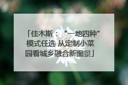 佳木斯：“一地四种” 模式任选 从定制小菜园看城乡融合新图景
