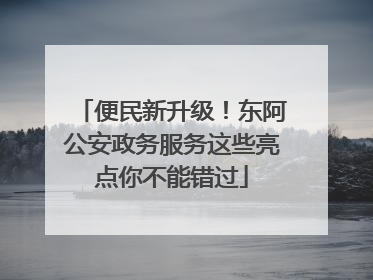 便民新升级！东阿公安政务服务这些亮点你不能错过
