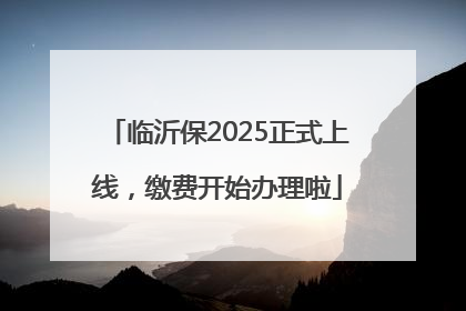临沂保2025正式上线，缴费开始办理啦