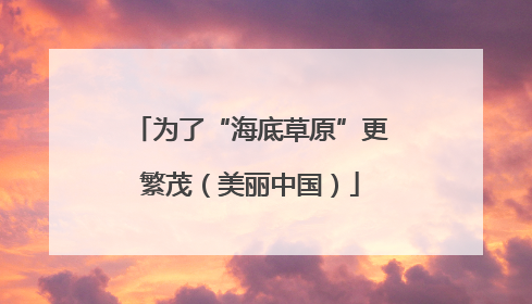 为了“海底草原”更繁茂（美丽中国）