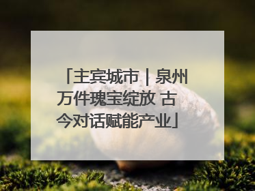 主宾城市｜泉州万件瑰宝绽放 古今对话赋能产业