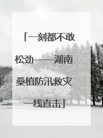 一刻都不敢松劲——湖南桑植防汛救灾一线直击