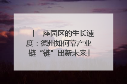 一座园区的生长速度：德州如何靠产业链“链”出新未来