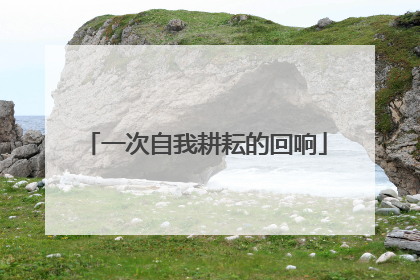 一次自我耕耘的回响