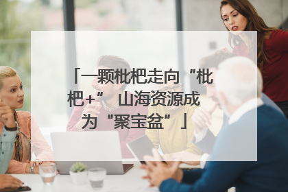 一颗枇杷走向“枇杷+” 山海资源成为“聚宝盆”