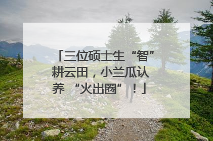 三位硕士生“智” 耕云田，小兰瓜认养 “火出圈”！