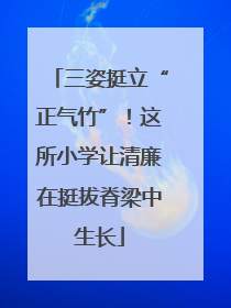 三姿挺立“正气竹”！这所小学让清廉在挺拔脊梁中生长
