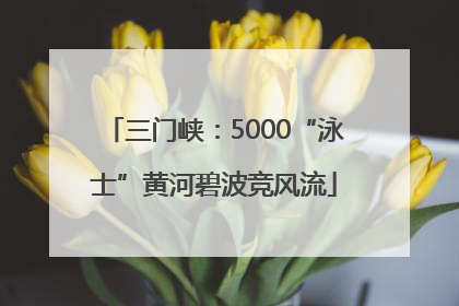 三门峡：5000“泳士”黄河碧波竞风流