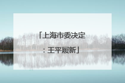 上海市委决定：王平履新