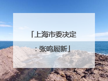 上海市委决定：张鸣履新